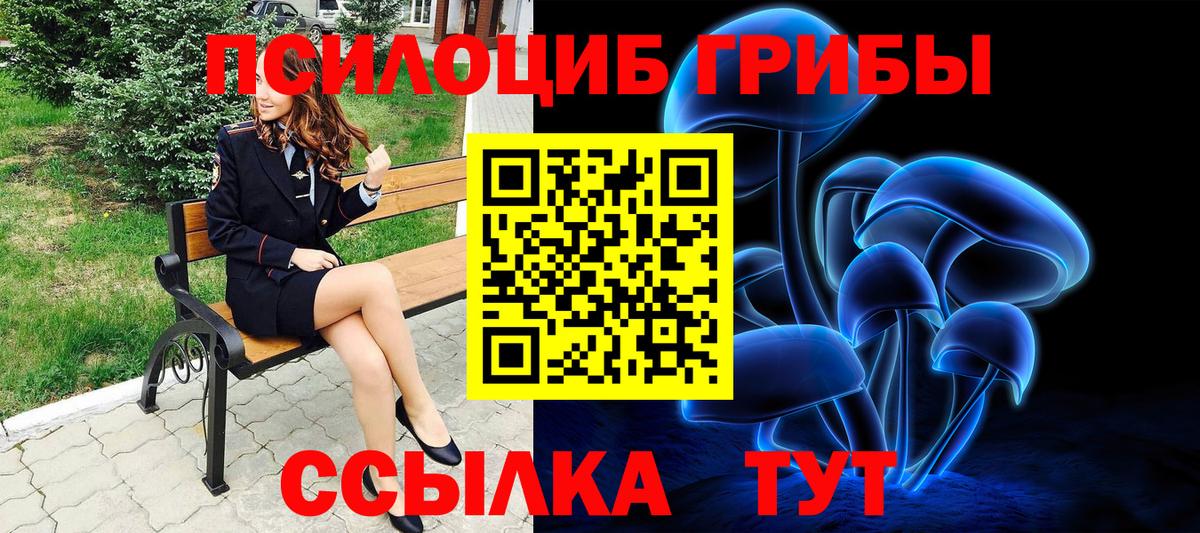 Бердск  Галлюциногенные грибы мицелий  Вход с VPN 